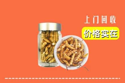 收购资讯:江城县回收散虫草