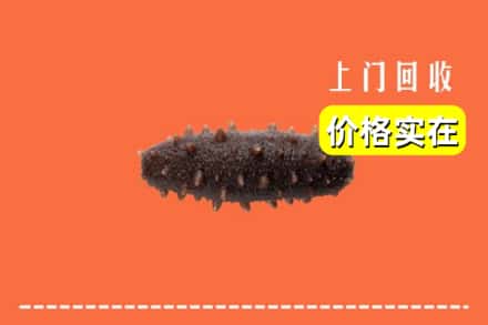 收购资讯:江城县回收海参