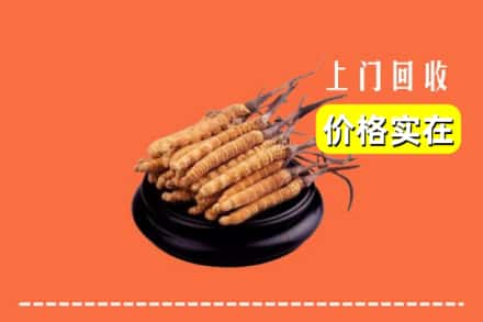江城县回收冬虫夏草